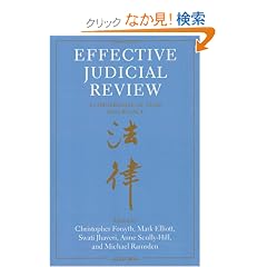 Effective Judicial Review: A Cornerstone of Good Governance