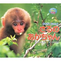 ���������Ȃ����� ����̂�������� (������Ƀ^�b�`!)