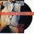 ストップ・メイキング・センス<完全版>