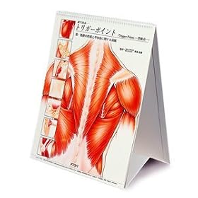 �y���f�B�J���u�b�N�z�g���K�[�|�C���g�`���[�g�iSR-213�j