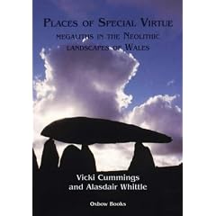 Places of Special Virtue: Megaliths in the Neolithic Landscapes of Wales (Cardiff Studies in Archaeology)