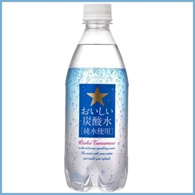 サッポロ　おいしい炭酸水　500ml × 2ケース(48本)