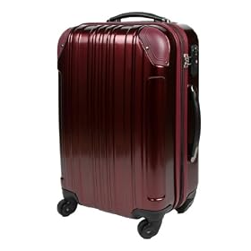 TSA���b�N���ځE�y�ʃX�[�c�P�[�X�E�L�����[�P�[�X�iS�T�C�Y�j5022-50 (�j���[���C�����b�h)