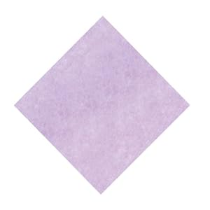 【クリックで詳細表示】ローヴシート 20X20CM/50枚 RT77100-66
