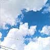 サニーデイ・サービスのアルバムの画像