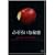 �ӂ��낢�Ȕ閧 [DVD]