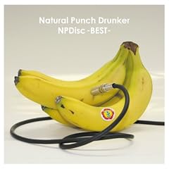 NPDisc -BEST-