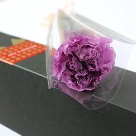 ��̓��M�t�g�u�J�[�l�[�V����GIFT�{�b�N�X�v�i�v���U�[�u�h�t�����[�F�o�C�I���b�g�j
