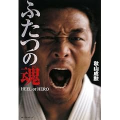 �ӂ��̍� HEEL or HERO