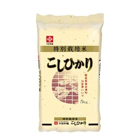 �y���āz������ ����ÎY ���ʍ͔|�Ĕ��� �����Ђ���5kg ����23�N�Y