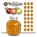 �yMartinelli's�}���e�B�l���z�A�b�v���W���[�X�i�X�g���[�g�j��296ml�~24�{