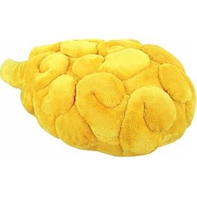�h���S���{�[�� �ؓl�_�N�b�V����