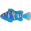 ROBO FISH ���{�t�B�b�V�� �A�E���m�J��