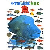 【クリックで詳細表示】魚 (小学館の図鑑NEO)： 井田 斉： 本