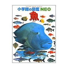 �� (���w�ق̐}��NEO)