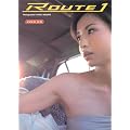ROUTE1�\�ɓ��T�q�ʐ^�W