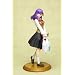 Fate/hollow ataraxia �ԋˍ� �[�x�x Ver. (1/6�X�P�[��PVC�h���ς݊����i�j
