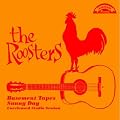 THE BASEMENT TAPES SUNNY DAY �����\�X�^�W�I�E�Z�b�V����(���W���P�b�g�d�l)