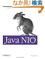 Java Nio
