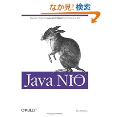 Java Nio
