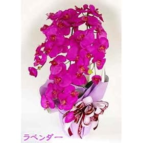�y�Ӓ����@3�{�����z�@�V���N�t�����[�@�iCT�G�}���H�j���x���_�[