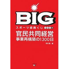 BIG�\�X�|�[�c�U������toto ���������o�c���ƍč\�z��1300��