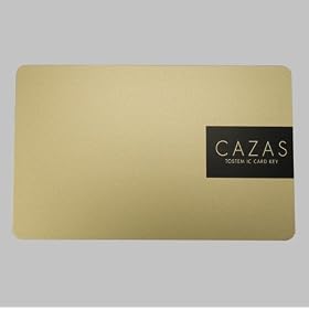 �g�X�e�����ց@ �h�A �J�U�X CAZAS �ǉ��p�@�J�[�h�L�[ �S�[���h�@Z-003-DVBA ���e�� : �{�́~�P