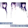 WORKING GIRL(��������)(DVD�t)