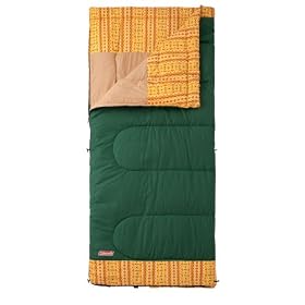 Coleman(�R�[���}��) �X���[�s���O�o�b�O�N���V�b�N2/C10 �O���[�� [�Œ�g�p���x10�x] 2000010418