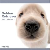 [Book] THE DOGゴールデン・レトリーバー 2009年カレンダー