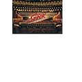 Endless SHOCK 2008(�ʏ�Վd�l) [DVD]