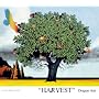 HARVEST