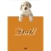 �N�C�[�� [DVD]