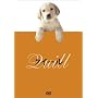 �N�C�[�� [DVD]