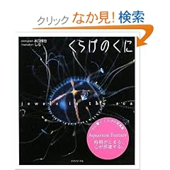 ���炰�̂��� jewels in the sea