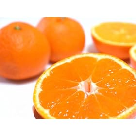 �y���������E�Y�n�����z��_��E�L�@�엿�͔| ���b�N�X�E�h���ܕs�g�p ���Q���Y ���ʃl�[�u���I�����W ��10kg ���ƒ�p�T�C�Y�����킯����i(�K�i�O�i)