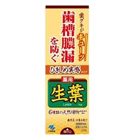 �Ђ����ߐ��t 100G