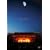 ��t��LIVE [DVD]