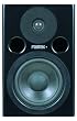 FOSTEX �v���t�F�b�V���i���E�X�^�W�I�E���j�^�[ PM0.5MK2