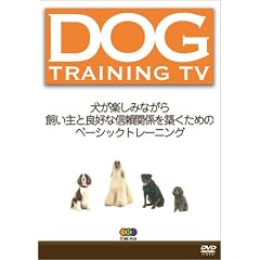 DOG TRAINING TV