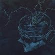 Instinct: Decay
