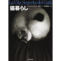 �L��炵