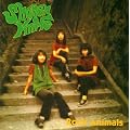 Rock Animals