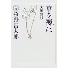 ������Ɂ\�����q��x���Y (�T���CBOOKS)