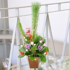 �y���������z�������p�A�����W�����g�@�t���O�@�ԁ��������p�̉ԏ���ɁE�N���N�n�̑��蕨�ɁE�E�E�ԍH�[�ԑ���G�[�f�����C�X �t�����[�M�t�g