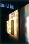Rachel Whiteread: Transient Spaces (Guggenheim Museum Publications)