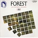 3-D�i�`�������E�T�E���Y/�X�EFOREST