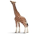 Schleich �V�����C�q �L���� (�I�X:�H)