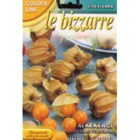 �yFRANCHI�Ў�q�z�y97/150�z�H�p�z�I�Y�L