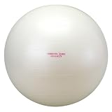 ALINCO(�A���C���R) �G�N�T�T�C�Y�{�[�� 65cm EXG025